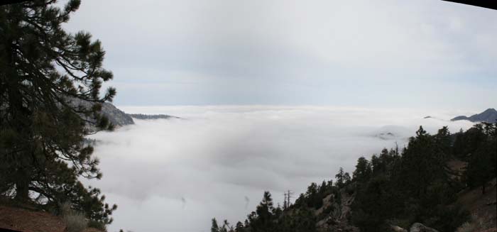 A view from Southern California's Angeles National Forest