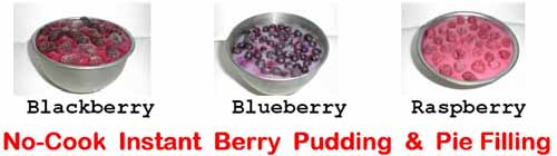 Near-Zero-Calorie Berry Puddings